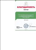 благодарность за активное участие в проведении международного  дистанционного  блиц-  турнира проекта " Новый урок" 2016г.