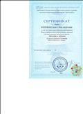 Сертификат по подготовке участников во Всероссийском интеллектуальном  турнире для выпускников  начальной школы "Мозаика" 2013-2014 г.